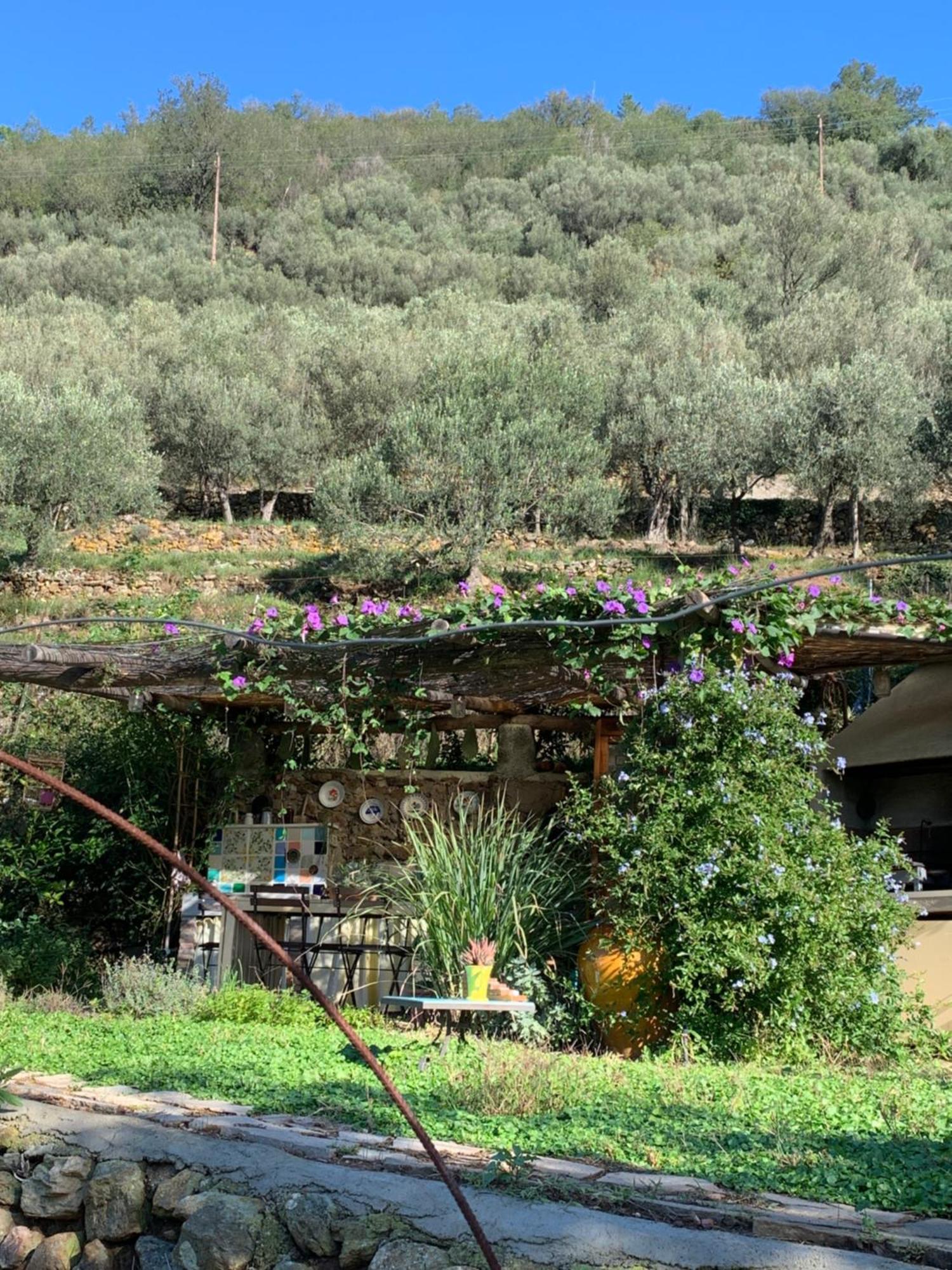 B&B Cà de Badin Noli Extérieur photo